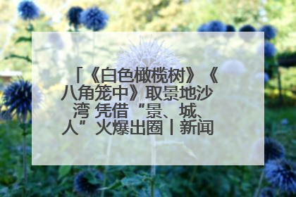 《白色橄榄树》《八角笼中》取景地沙湾 凭借“景、城、人”火爆出圈丨新闻发布最前线
