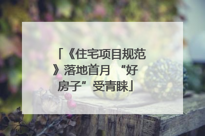 《住宅项目规范》落地首月 “好房子”受青睐