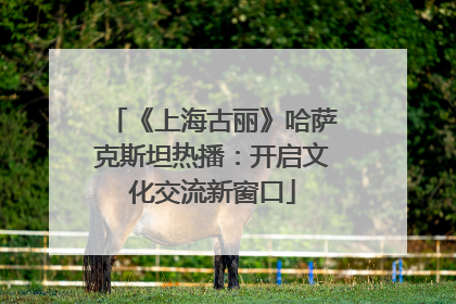 《上海古丽》哈萨克斯坦热播：开启文化交流新窗口