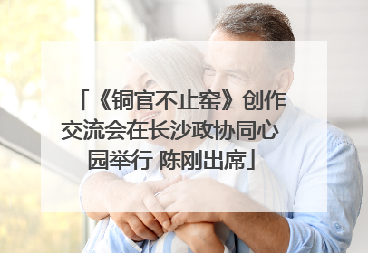 《铜官不止窑》创作交流会在长沙政协同心园举行 陈刚出席