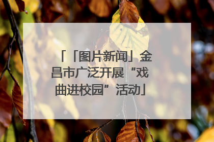 「图片新闻」金昌市广泛开展“戏曲进校园”活动