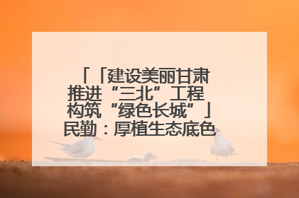 「建设美丽甘肃 推进“三北”工程 构筑“绿色长城”」民勤：厚植生态底色 筑牢绿色屏障