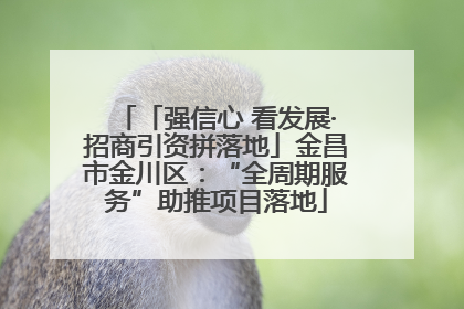 「强信心 看发展·招商引资拼落地」金昌市金川区：“全周期服务”助推项目落地