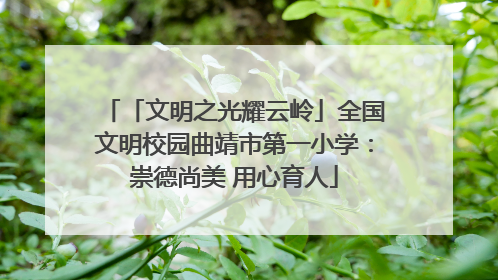 「文明之光耀云岭」全国文明校园曲靖市第一小学：崇德尚美 用心育人