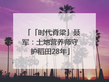 「时代脊梁」聂军：土地营养师守护稻田28年
