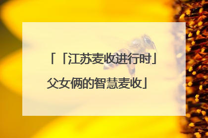 「江苏麦收进行时」父女俩的智慧麦收