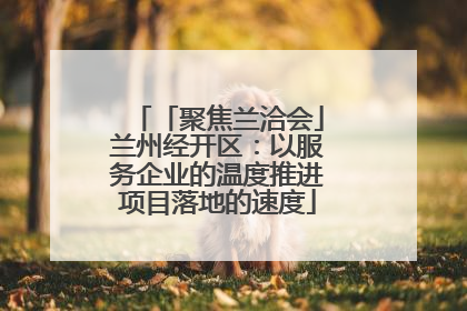 「聚焦兰洽会」兰州经开区：以服务企业的温度推进项目落地的速度