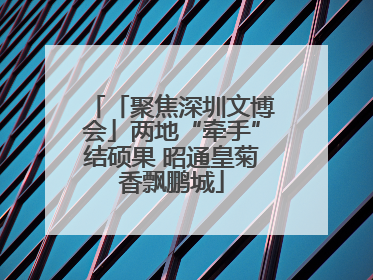 「聚焦深圳文博会」两地“牵手”结硕果 昭通皇菊香飘鹏城