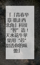 「青春华章·重走西北角」科技“智”造！天水花牛苹果用“芯”甜透你的味蕾