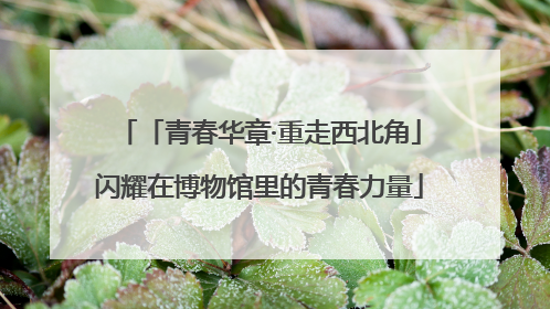 「青春华章·重走西北角」闪耀在博物馆里的青春力量