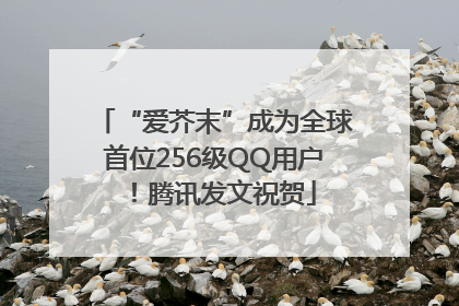 “爱芥末”成为全球首位256级QQ用户！腾讯发文祝贺