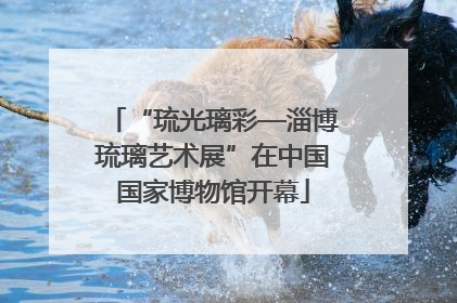 “琉光璃彩—淄博琉璃艺术展”在中国国家博物馆开幕