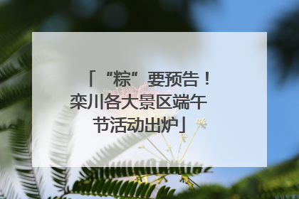 “粽”要预告！栾川各大景区端午节活动出炉