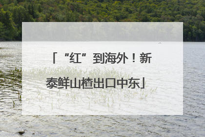“红”到海外！新泰鲜山楂出口中东