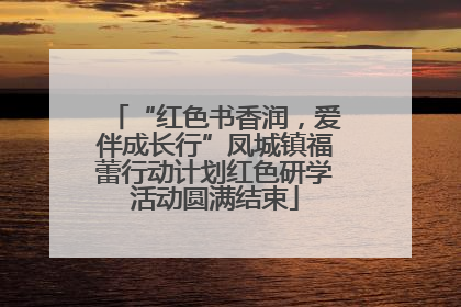 “红色书香润，爱伴成长行”凤城镇福蕾行动计划红色研学活动圆满结束
