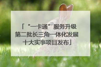 “一卡通”服务升级 第二批长三角一体化发展十大实事项目发布