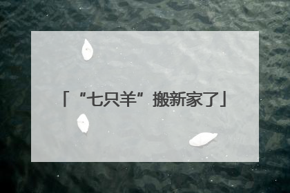 “七只羊”搬新家了