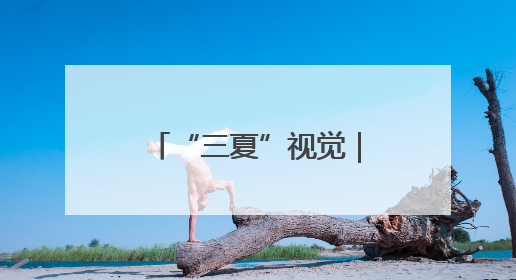 “三夏”视觉｜孟州麦收正当时 机械减损保归仓