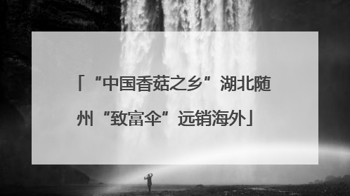 “中国香菇之乡”湖北随州“致富伞”远销海外