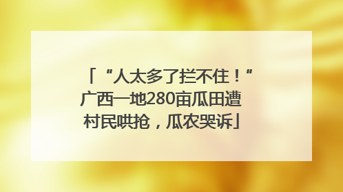 “人太多了拦不住！”广西一地280亩瓜田遭村民哄抢，瓜农哭诉