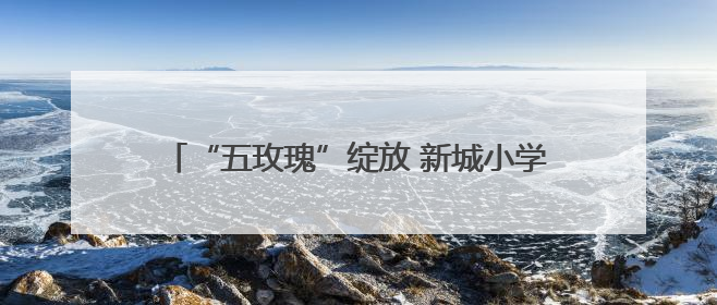 “五玫瑰”绽放 新城小学混编少年足球队勇夺四强