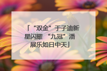 “双金”于子迪新星闪耀 “九冠”潘展乐如日中天