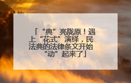 “典”亮陇原！遇上“花式”演绎，民法典的法律条文开始“动”起来了