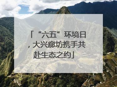 “六五”环境日，大兴廊坊携手共赴生态之约
