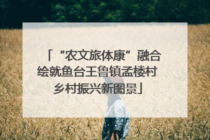 “农文旅体康”融合绘就鱼台王鲁镇孟楼村乡村振兴新图景