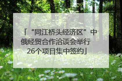 “同江桥头经济区”中俄经贸合作洽谈会举行 26个项目集中签约