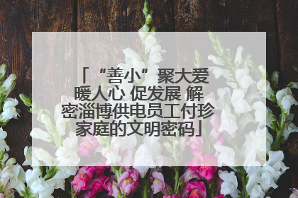 “善小”聚大爱 暖人心 促发展 解密淄博供电员工付珍家庭的文明密码