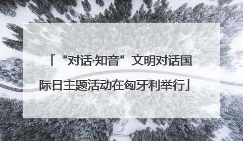 “对话·知音”文明对话国际日主题活动在匈牙利举行