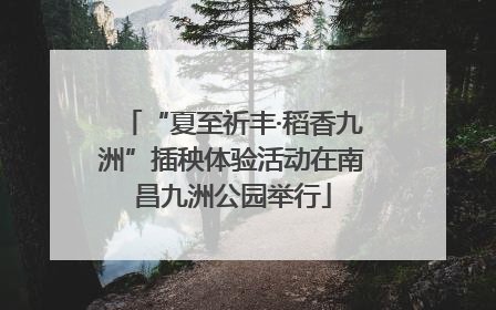 “夏至祈丰·稻香九洲”插秧体验活动在南昌九洲公园举行