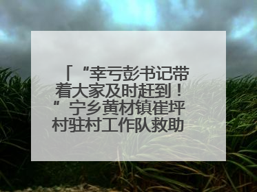 “幸亏彭书记带着大家及时赶到！”宁乡黄材镇崔坪村驻村工作队救助中暑村民