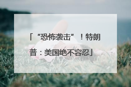 “恐怖袭击”！特朗普：美国绝不容忍