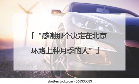 “感谢那个决定在北京环路上种月季的人”