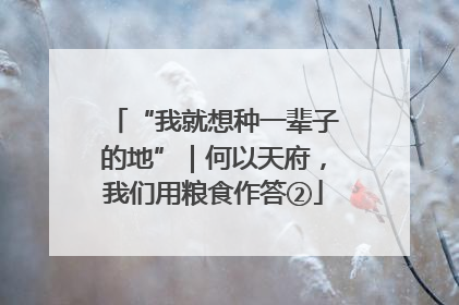 “我就想种一辈子的地”｜何以天府，我们用粮食作答②