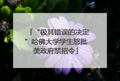 “极其错误的决定”哈佛大学学生怒批美政府禁招令