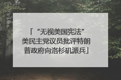 “无视美国宪法” 美民主党议员批评特朗普政府向洛杉矶派兵