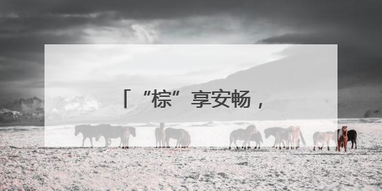“棕”享安畅，桑植东中心收费站暖心护航高速路