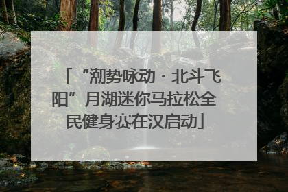 “潮势咏动・北斗飞阳”月湖迷你马拉松全民健身赛在汉启动