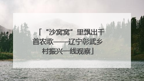 “沙窝窝”里飘出千首农歌——辽宁彰武乡村振兴一线观察