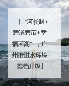 “河长制+碧道碧带+幸福河湖”，广州推进水环境提档升级