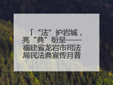 “法”护岩城，亮“典”纷呈——福建省龙岩市司法局民法典宣传月普法活动纪实