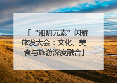 “湘阴元素”闪耀旅发大会：文化、美食与旅游深度融合