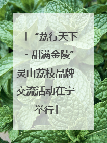 “荔行天下・甜满金陵”灵山荔枝品牌交流活动在宁举行
