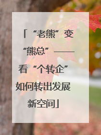 “老熊”变“熊总”——看“个转企”如何转出发展新空间
