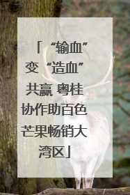 “输血”变“造血”共赢 粤桂协作助百色芒果畅销大湾区