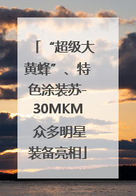 “超级大黄蜂”、特色涂装苏-30MKM 众多明星装备亮相