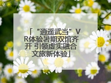 “逍遥武当”VR体验暑期双馆齐开 引领虚实融合文旅新体验